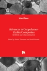 Advances in Geopolymer-Zeolite Composites : Synthesis and Characterization - Book