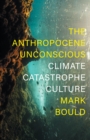 The Anthropocene Unconscious : Climate Catastrophe Culture - eBook