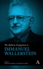 The Anthem Companion to Immanuel Wallerstein - eBook