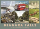 Niagara Falls : an illustrated history by Alex F. Young - Book