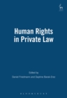 Human Rights in Private Law - Book
