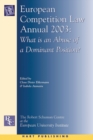 European Competition Law Annual : What is an Abuse of a Dominant Position? - Book