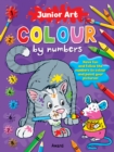 Junior Art Colour By Numbers: Cat - Book