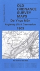 Anglesey (South) and Caernarfon 1903 : One Inch 105 - Book