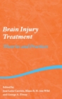 Brain Injury Treatment : Theories and Practices - Book