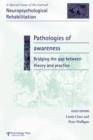 Pathologies of Awareness: Bridging the Gap between Theory and Practice : A Special Issue of Neuropsychological Rehabilitation - Book