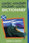 Gaelic - English Dictionary - Book
