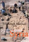 Tell Kosak Shamali Vol I : The Archaeological Investigations on the Upper Euphrates, Syria - Book
