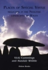 Places of Special Virtue : Megaliths in the Neolithic landscapes of Wales - Book