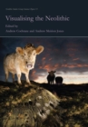 Visualising the Neolithic - eBook