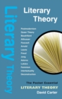 Literary Theory - eBook