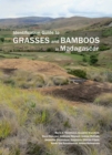 Identification Guide to Grasses and Bamboos in Madagascar - eBook