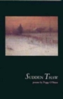 Sudden Thaw - Book