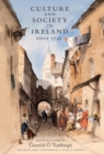 Culture and Society in Ireland Since 1752 - eBook