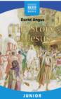 The Story of Jesus - eBook