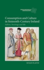 Consumption and Culture in Sixteenth-Century Ireland : Saffron, Stockings and Silk - Book