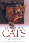 The Secret Life of Cats - Book