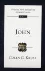 John : An Introduction And Commentary - Book
