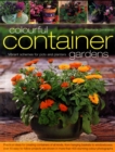 Colourful Container Gardens : Vibrant Schemes for Pots and Planters - Book