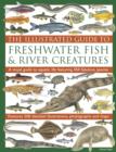 The Illustrated Guide to Freshwater Fish & River Creatures : A Visual Guide to Aquatic Life Featuring 450 Fabulous Species: Features 500 Detailed Illustrations, Photographs and Maps - Book