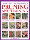 Pruning : Training and Topiary - Book