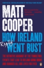 How Ireland Really Went Bust - Book