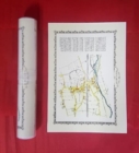 Water Orton 1882 - Old Map Supplied Rolled in a Clear Two Part Screw Presentation Tube - Print Size 45cm x 32cm - Book