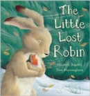 The Little Lost Robin - Book