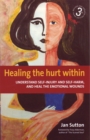 Healing the Hurt Within 3rd Edition : Understanding Self-Injury and Self-Harm, and Heal the Emotional Wounds - Book