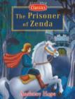 The Prisoner of Zenda - Book
