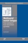 Multiaxial Notch Fatigue - eBook