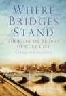 Where Bridges Stand : The River Lee Bridges of Cork City - Book