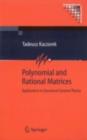 Polynomial and Rational Matrices : Applications in Dynamical Systems Theory - eBook