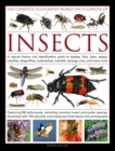 Complete Illustrated World Encyclopedia of Insects - Book