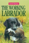 The Working Labrador - eBook