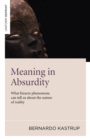 Meaning in Absurdity : What bizarre phenomena can tell us about the nature of reality - eBook