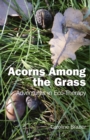 Acorns Among the Grass : Adventures in Eco-Therapy - eBook