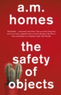 The Safety Of Objects - eBook