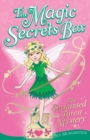 The Enchanted Forest Mystery - Book
