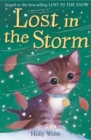 Lost in the Storm - eBook