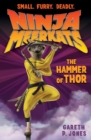 The Hammer of Thor - Book