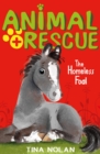 The Homeless Foal - eBook