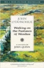 Walking on the Pastures of Wonder : In Conversation with  John Quinn - Book