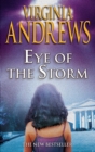 Eye Of The Storm - eBook