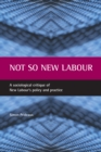 Not So New Labour : A Sociological Critique of New Labour's Policy and Practice - eBook
