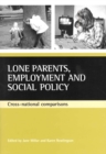 Lone parents, employment and social policy : Cross-national comparisons - eBook