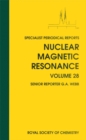 Nuclear Magnetic Resonance : Volume 28 - eBook