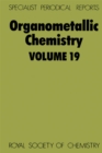 Organometallic Chemistry : Volume 19 - eBook