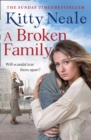 A Broken Family - Book