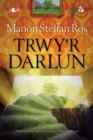 Cyfres yr Onnen: Trwy'r Darlun - Book